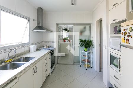 Apartamento à venda com 224m², 4 quartos e 3 vagasCozinha