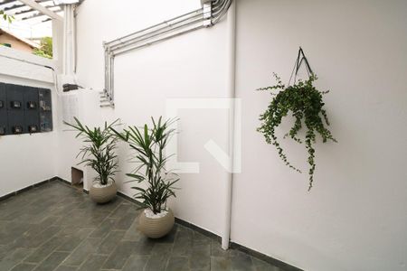 Studio para alugar com 15m², 1 quarto e sem vagaQuintal