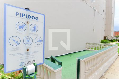Apartamento para alugar com 87m², 3 quartos e 2 vagasEspaço Pet 