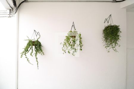 Studio para alugar com 20m², 1 quarto e sem vagaQuintal