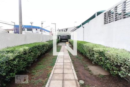 Apartamento à venda com 53m², 2 quartos e 1 vagaÁrea comum - Espaço Pet