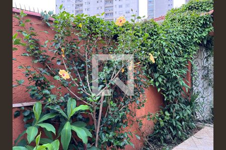 Casa à venda com 124m², 3 quartos e 2 vagasJardim