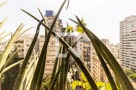 Jardineira de apartamento à venda com 3 quartos, 262m² em Higienópolis, São Paulo