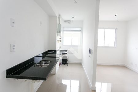 Apartamento para alugar com 45m², 2 quartos e 1 vagaCozinha 