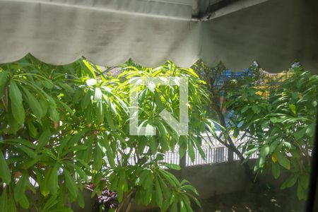 Sala de apartamento para alugar com 3 quartos, 67m² em Todos Os Santos, Rio de Janeiro