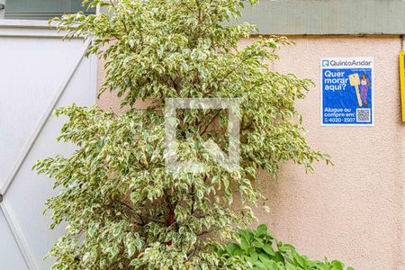 Casa à venda com 215m², 3 quartos e 5 vagas