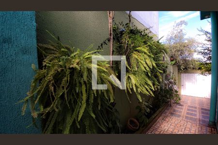 Casa à venda com 200m², 3 quartos e 4 vagas Casa à venda com 200m², 3 quartos e 4 vagasQuintal