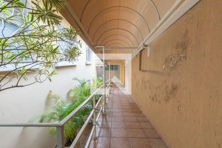 Casa à venda com 360m², 14 quartos e 3 vagas Casa à venda com 360m², 14 quartos e 3 vagasQuintal