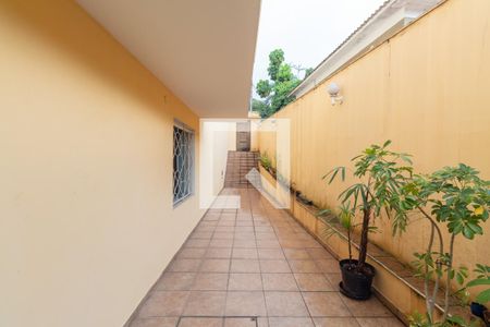 Casa à venda com 360m², 14 quartos e 3 vagas Casa à venda com 360m², 14 quartos e 3 vagasQuintal