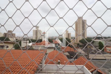 Janela Sala de apartamento para alugar com 1 quarto, 35m² em Vila Paiva, São Paulo