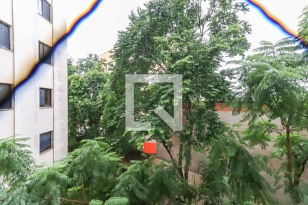 Apartamento para alugar com 58m², 2 quartos e 1 vaga Apartamento para alugar com 58m², 2 quartos e 1 vagaVista do Quarto 1