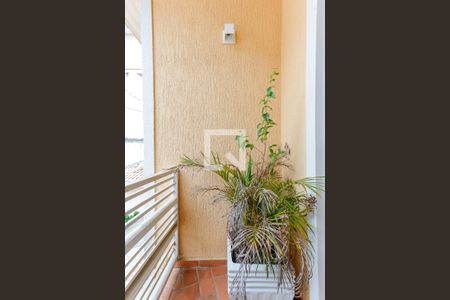 Casa para alugar com 300m², 4 quartos e 5 vagasSacada