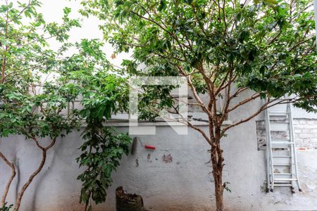 Casa à venda com 180m², 4 quartos e 3 vagasVista do Quarto 3