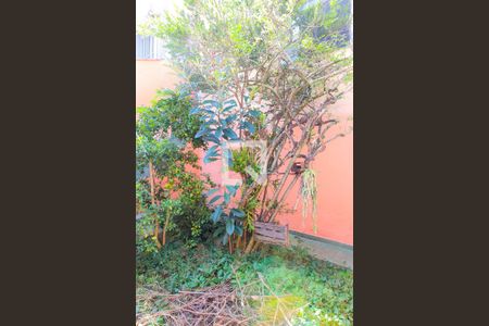 Casa à venda com 287m², 5 quartos e 3 vagasQuintal