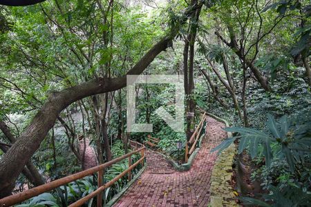 Apartamento à venda com 185m², 3 quartos e 3 vagasBosque