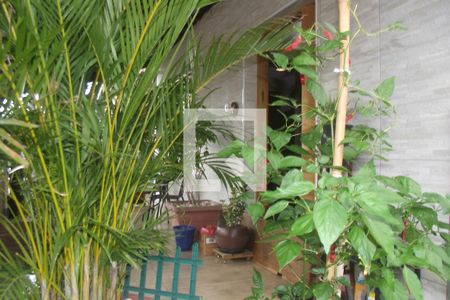 Casa à venda com 360m², 2 quartos e 1 vagaÁrea externa
