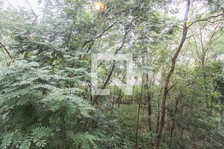 Apartamento para alugar com 56m², 3 quartos e 1 vaga Apartamento para alugar com 56m², 3 quartos e 1 vagaQuarto 1