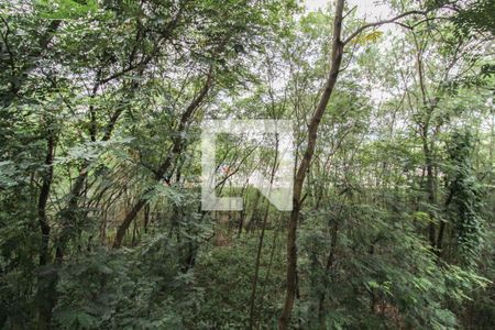 Apartamento para alugar com 56m², 3 quartos e 1 vaga Apartamento para alugar com 56m², 3 quartos e 1 vagaVista do Quarto 3