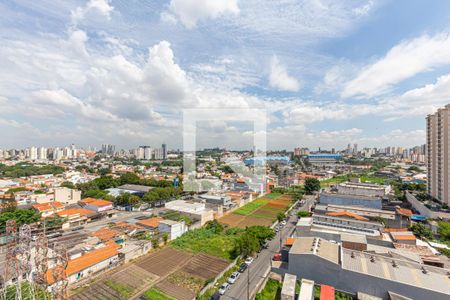 Vista da Varanda da Sala de apartamento à venda com 3 quartos, 75m² em Vila Floresta, Santo André
