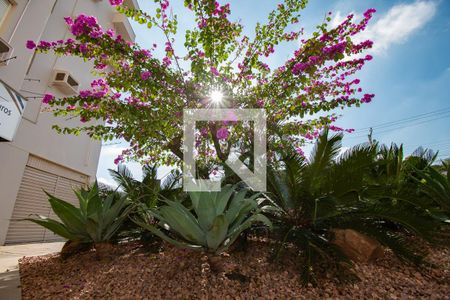 Apartamento à venda com 65m², 2 quartos e 1 vaga Apartamento à venda com 65m², 2 quartos e 1 vagajardim