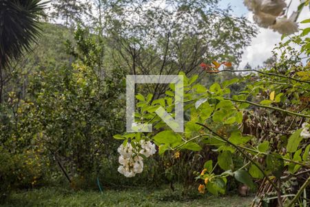 Casa para alugar com 300m², 4 quartos e 5 vagas Casa para alugar com 300m², 4 quartos e 5 vagasQuintal