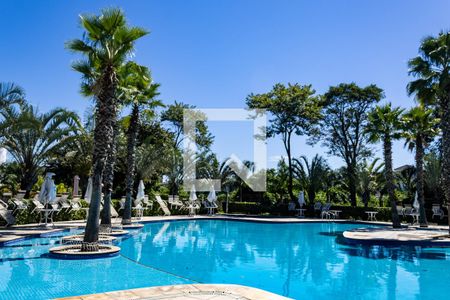 Área comum - Piscina de apartamento para alugar com 2 quartos, 55m² em Campo Grande, Rio de Janeiro