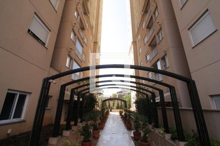 Área comum de apartamento à venda com 2 quartos, 49m² em Santa Maria, Osasco