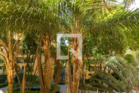 Varanda Sala de apartamento para alugar com 3 quartos, 64m² em Vila Morse, São Paulo