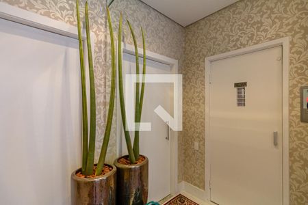 Apartamento para alugar com 220m², 3 quartos e 2 vagasHall de Elevador Privativo