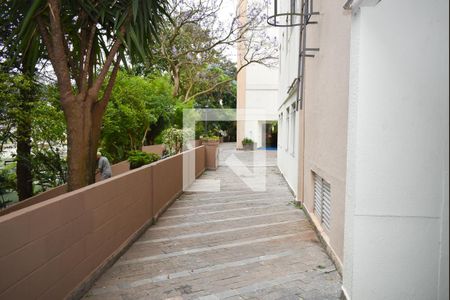 Apartamento para alugar com 59m², 2 quartos e 1 vaga Apartamento para alugar com 59m², 2 quartos e 1 vagaÁrea comum