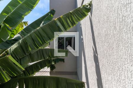 Apartamento para alugar com 35m², 1 quarto e sem vagaVista da Área de Serviço