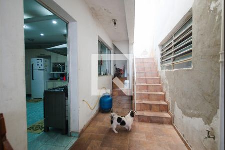 Casa à venda com 552m², 5 quartos e 3 vagasQuintal