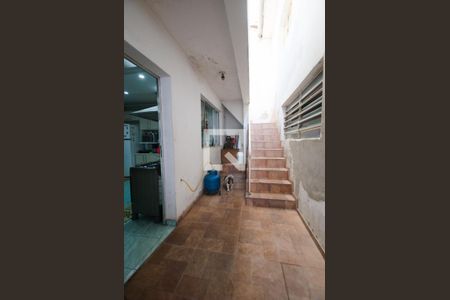 Casa à venda com 552m², 5 quartos e 3 vagasQuintal