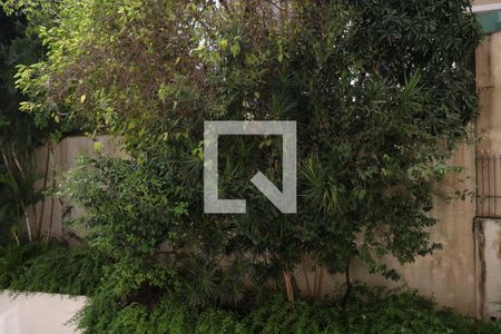 Vista de apartamento à venda com 3 quartos, 124m² em Vila Monte Alegre, São Paulo