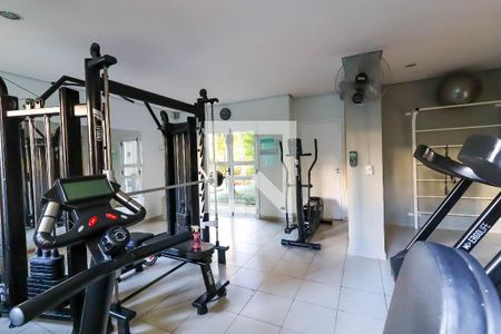 Apartamento para alugar com 65m², 2 quartos e 1 vaga Apartamento para alugar com 65m², 2 quartos e 1 vagaÁrea comum - Academia