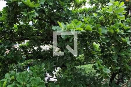 Apartamento para alugar com 75m², 2 quartos e 1 vagaVista do Quarto 2