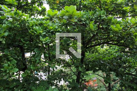 Vista do Quarto 1 de apartamento para alugar com 2 quartos, 75m² em Engenho de Dentro, Rio de Janeiro