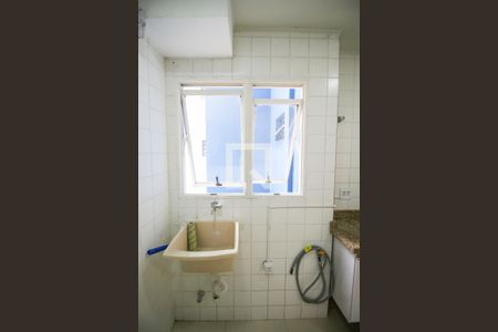 Lavanderia de apartamento para alugar com 2 quartos, 50m² em Vila Carmosina, São Paulo