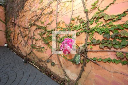 Casa à venda com 400m², 1 quarto e 8 vagas Casa à venda com 400m², 1 quarto e 8 vagasDetalhe Quintal