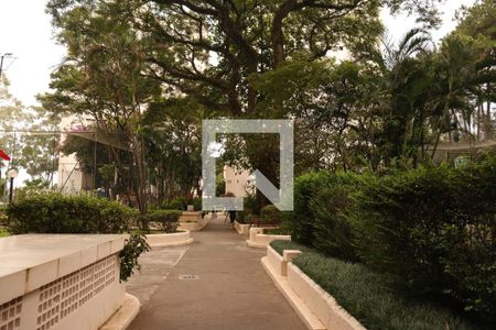 Apartamento para alugar com 77m², 3 quartos e 1 vagaÁrea comum