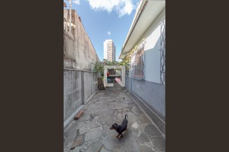Casa à venda com 250m², 4 quartos e 3 vagasGaragem