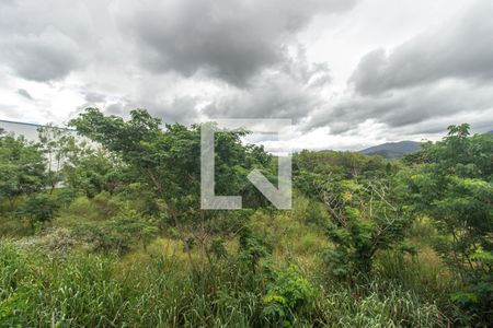 Vista do Quarto 1 de apartamento para alugar com 2 quartos, 50m² em Campo Grande, Rio de Janeiro