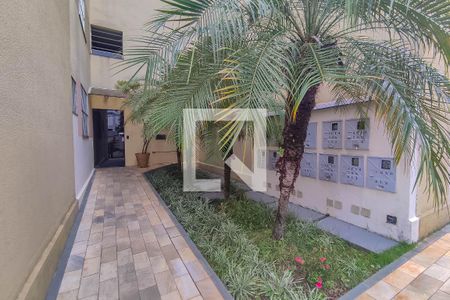 Apartamento para alugar com 85m², 3 quartos e 1 vaga Apartamento para alugar com 85m², 3 quartos e 1 vagaEntrada