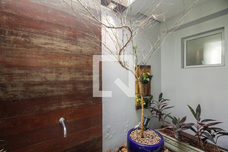 Jardim de Inverno  de casa à venda com 4 quartos, 430m² em Jardim Textil, São Paulo