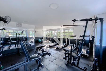 Apartamento à venda com 61m², 2 quartos e 1 vaga Apartamento à venda com 61m², 2 quartos e 1 vagaÁrea comum - Academia