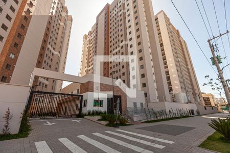 Fachada de apartamento para alugar com 2 quartos, 41m² em Várzea da Barra Funda, São Paulo