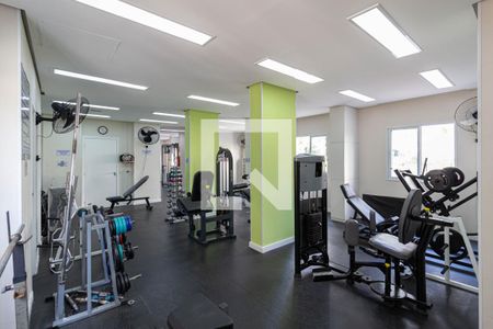 Apartamento à venda com 74m², 2 quartos e 1 vagaÁrea comum - Academia