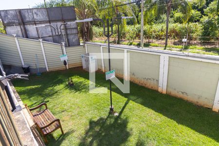 Área comum - Espaço pet de apartamento para alugar com 2 quartos, 52m² em Jardim Nova Europa, Campinas