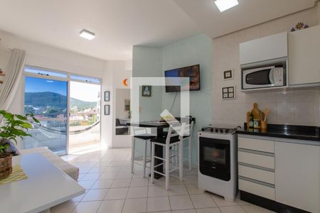Cozinha de apartamento para alugar com 1 quarto, 45m² em Cachoeira do Bom Jesus, Florianópolis