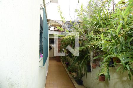 Casa à venda com 150m², 3 quartos e 3 vagasQuintal